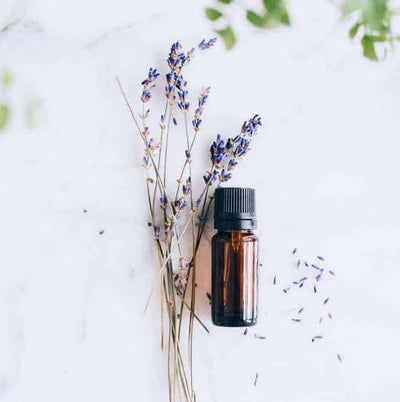 Our top 5 essential oils for stress and anxiety