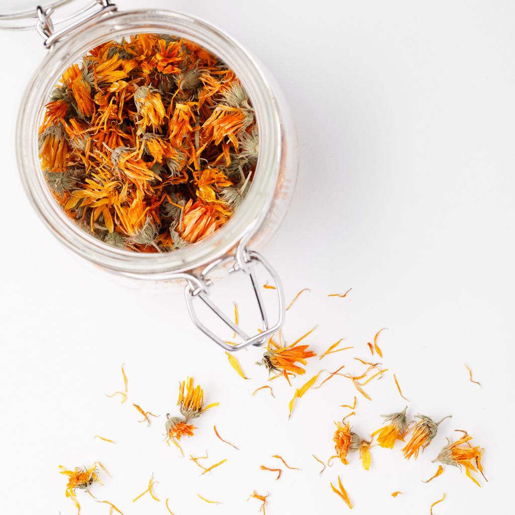 The Corinne Taylor Wellness Blog, Calendula Flower, Ingredient Spotlight, Skincare, organic