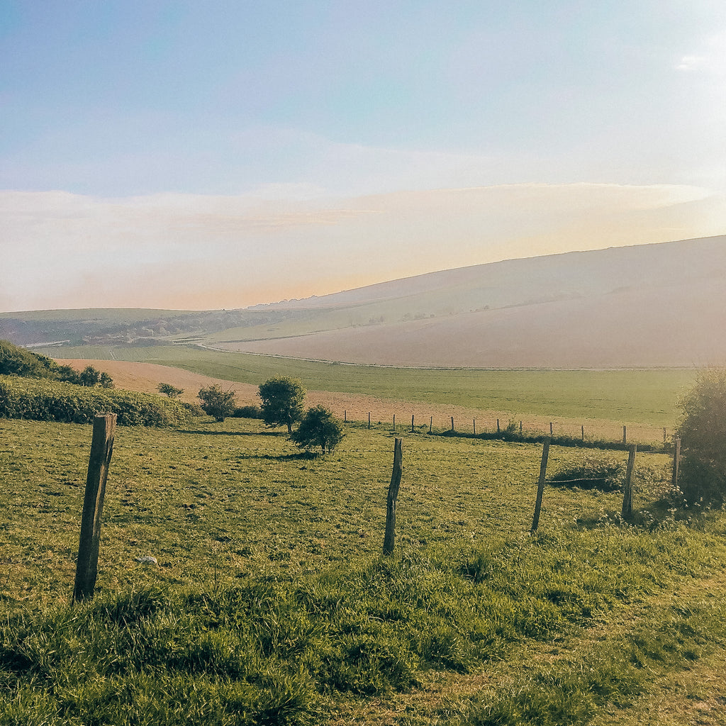 Simple mindfulness practices to bring into daily life